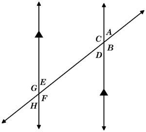 The figure shows two parallel lines cut by a transversal. Which angle pairs are corresponding-example-1