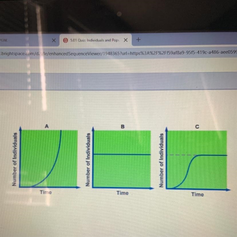 Which graph is an exponential growth model? А В С-example-1