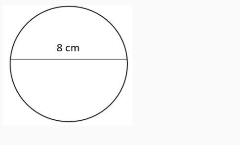 Given the circle below find the area. Use 3.14 for pi.-example-1