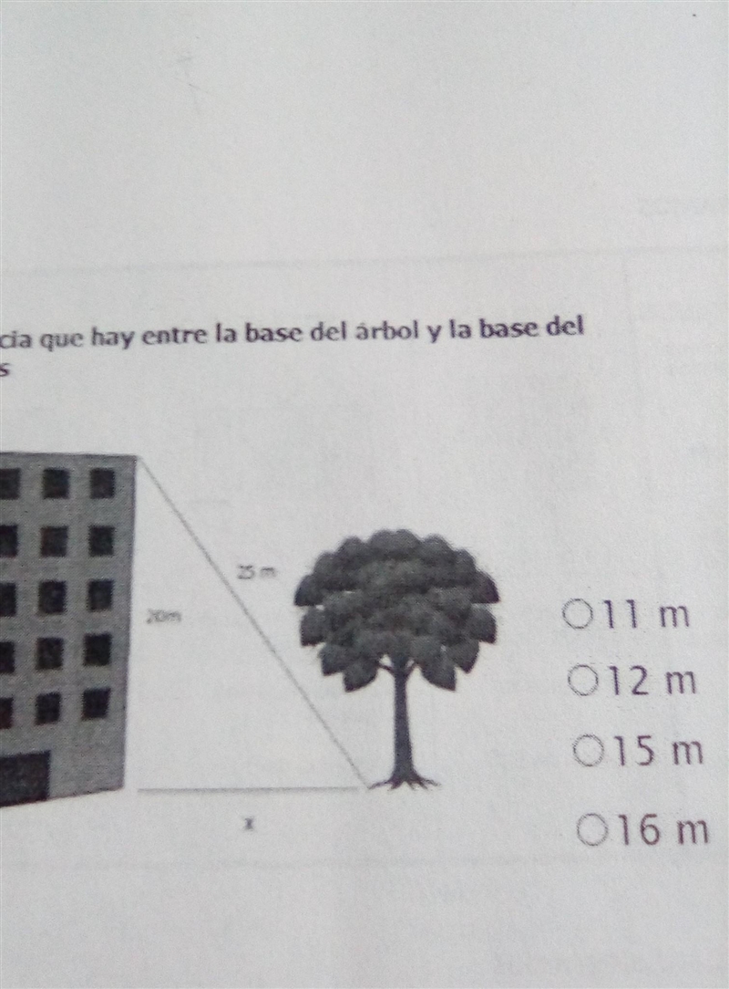 The distance between the base of the tree and the base of the building is: please-example-1