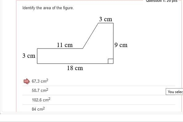 Composite figures. PLEASE help me identify the area of the figure. Thank you!-example-1