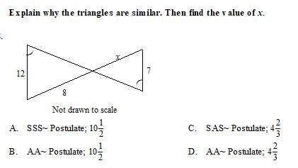 Explain why the triangles are similar. then find the value of x-example-1