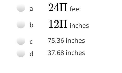 Find the EXACT circumference of a circle with the radius of 12 feet.-example-1