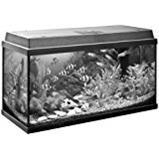 A fish tank in the shape of a right rectangular prism is 12.5 inches long, 6 inches-example-1