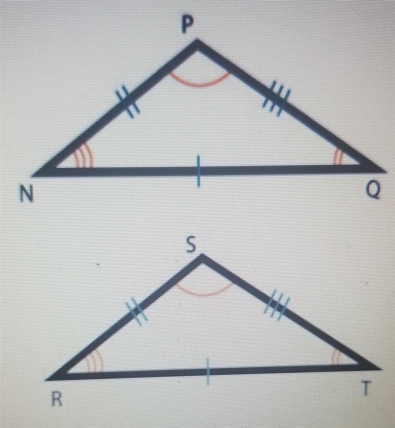 Which congruency statement is correct based on the diagram? O ¤PQN = ¤TSR Ο ¤PQN = ¤STR-example-1