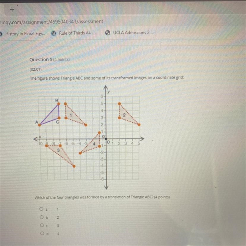 I don’t get this question and need help. please hell-example-1