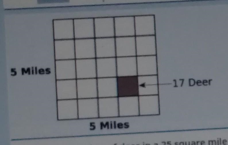 5 Miles 17 Deer 5 Mlies Predict the number of deer in a 25 square mile section of-example-1