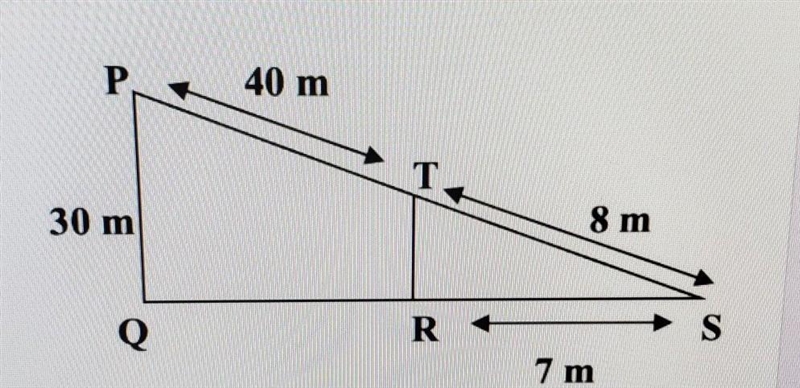 The two triangles in the image are similar. What is the value of TR?​-example-1