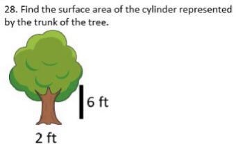 Find the surface area of the cylinder represented by the trunk of the tree.-example-1