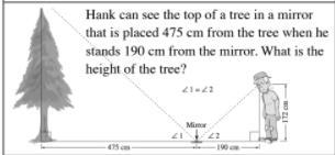 Hank can see the top of a tree in a mirror that is placed 475 cm from the tree when-example-1