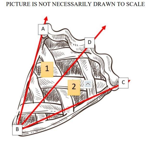 Assume we cut the last piece of the pie into two sections (1 and 2) along ray BD such-example-1