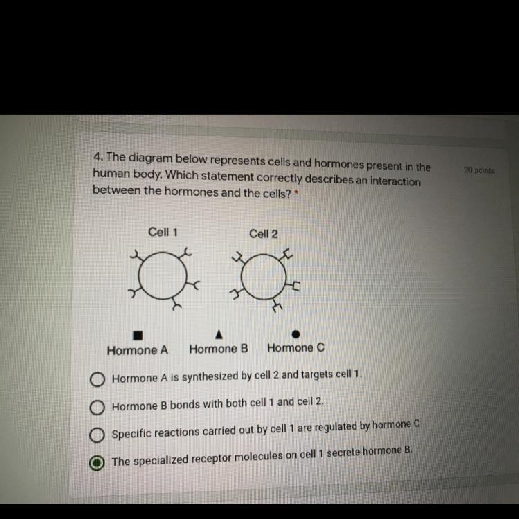 What is the answer? can someone help me-example-1