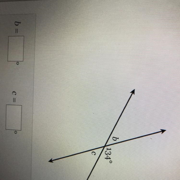 Helppp find the measure of the missing angles-example-1