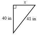 Find x in each triangle.-example-1