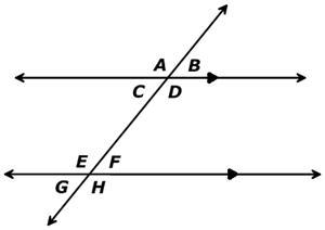 The figure shows two parallel lines cut by a transversal. Which angle pairs are alternate-example-1