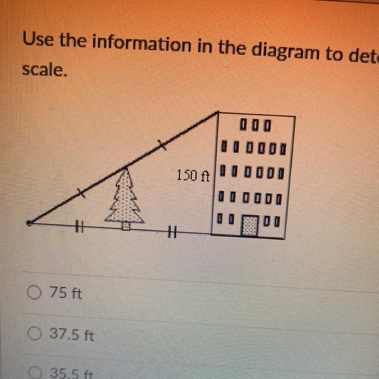 Use the information in the diagram to determine the height of the tree. the diagram-example-1