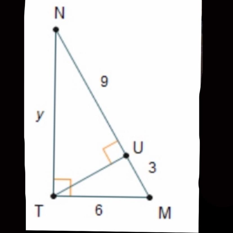 What is the value of y?-example-1