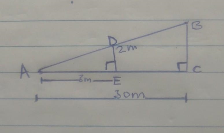 A tree cast a shadow of 30m long and a 2m stick casts one that is 3m long. As show-example-1