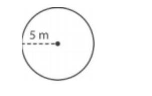 HURRY! What is the circumference of the circle below? Use 3.14 for π.-example-1