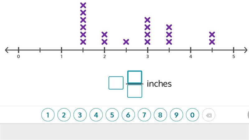 What was the shortest measurement? Length of insects (in inches)-example-1