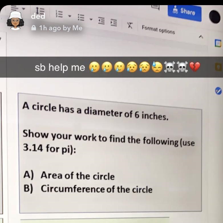 R. A circle has a diameter of 6 inches. Show your work to find the following (use-example-1