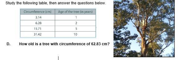 How old is a tree with circumference of 62.83 cm?-example-1