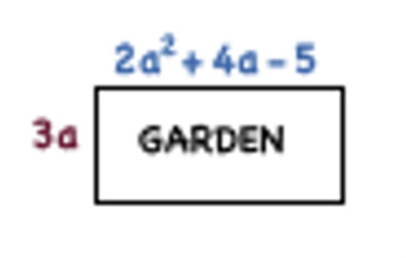 Find the area of the polynomial: A.) 6a^3 + 12a^2 − 15a B.) 6a^3 + 12a − 15 C.) 6a-example-1