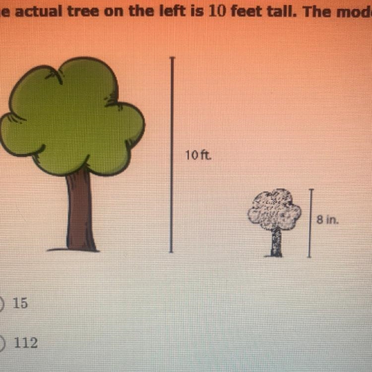 2. The actual tree on the left is 10 feet tall. The model tree on the right is 8 inches-example-1