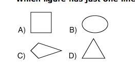 Which figure has just one line of symmetry? 1. B 2. A 3. D 4. C-example-1