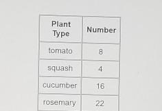 Plant Type Number tomato 8 squash 4 cucumber 16 rosemary 22 he The table above shows-example-1