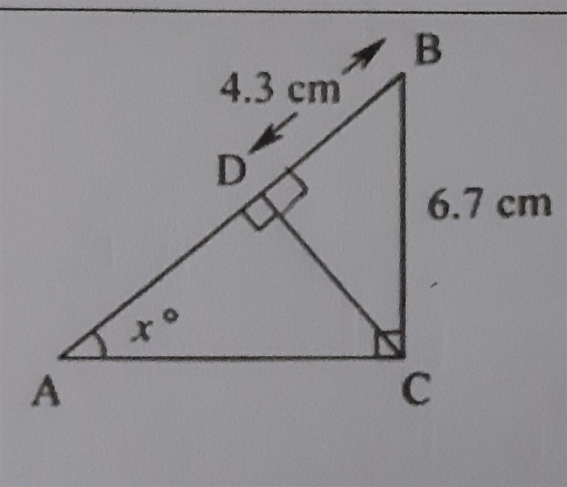 DB =4.3cm BC=6.7cm How do I find x° ?​-example-1