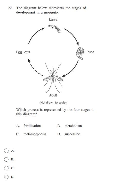 Please help me i really need help please-example-1