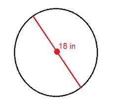 Find the circumference of the circle below!-example-1