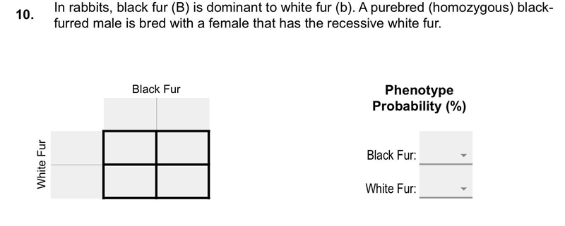 Need help on em punett sqaures-example-1