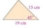 The area of the triangle-example-1