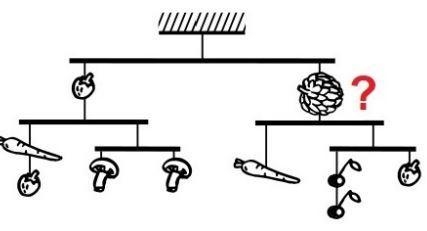 The hanger shown in the diagram is balanced. Both cherries weigh the same, both mushrooms-example-1