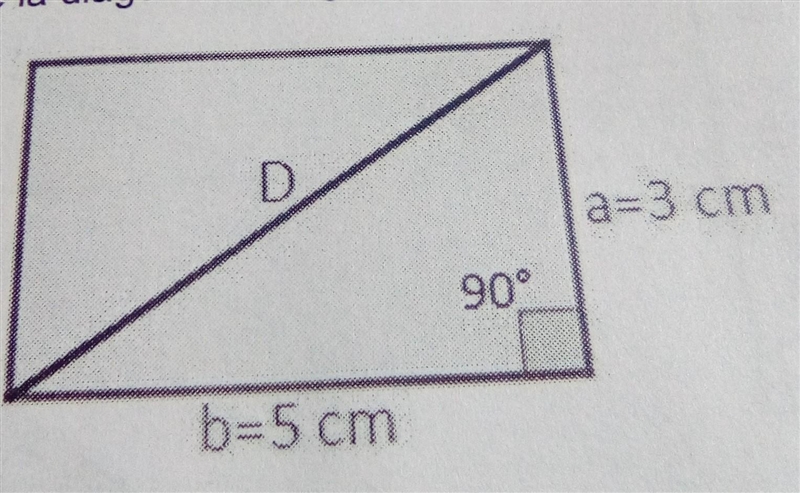 Calculates the measure of the diagonal of the following quadrilateral: please​-example-1