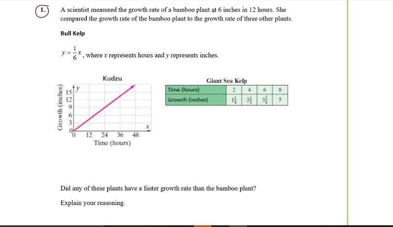 A scientist measured the growth rate of a bamboo plant at 6 inches in 12 hours. She-example-1