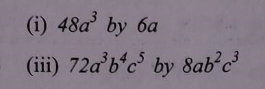 Carry out the following division.​-example-1