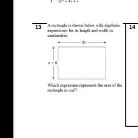 What expression represents the area of a rectangle in cm^2 with a length of 3x and-example-1