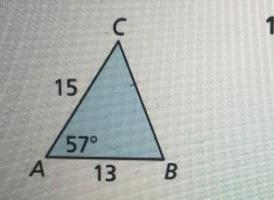 Find the area of the triangle. Round your answer to the nearest tenth.-example-1