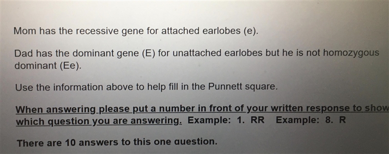 Help fill in the Punnett square-example-1