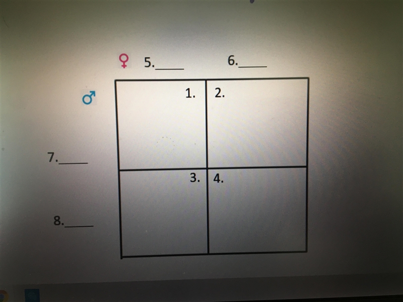 Help fill in the Punnett square-example-2