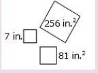 Has 256 and 81 already been squared? 8th grade math Please answer ASAP (i'm being-example-1