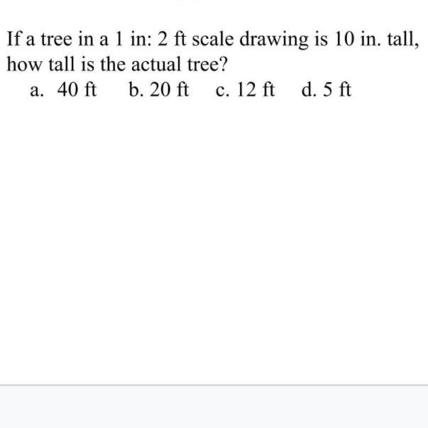 If a tree in a 1 in: 2 ft scale drawing is 10 intall, how tall is the actual tree-example-1