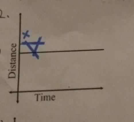 What's the walker instructions for this problem?​-example-1