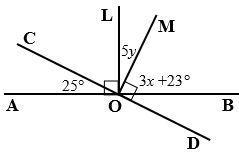 Lines AB and CD are straight lines. Find x and y. Give reasons to justify your solutions-example-1