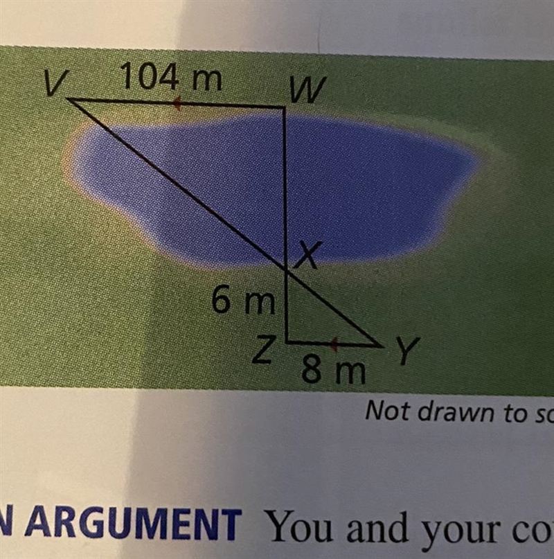 You can measure the width of the lake using a surveying technique, as shown in the-example-1