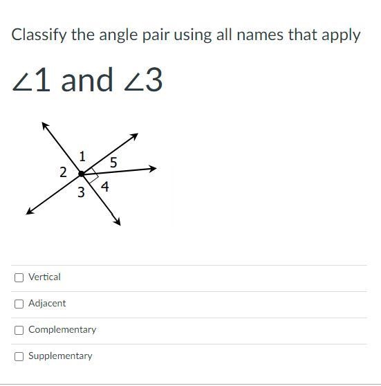 Classify the angle pair using all names that apply-example-1