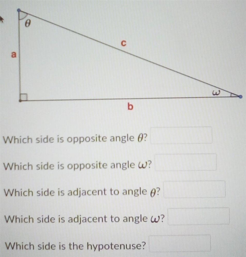 Which side is opposite angle 0? Which side is opposite angle w? I Which side is adjacent-example-1